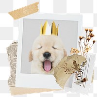 Cute dog png sticker instant photo, aesthetic flower design, transparent background
