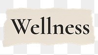 Wellness png word sticker typography, torn paper, transparent background