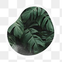 Monstera leaf png badge sticker on transparent background