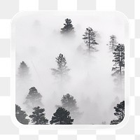Foggy forest png square badge sticker on transparent background