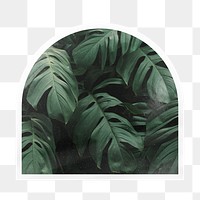 Monstera leaf png arc badge sticker on transparent background