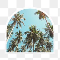 Palm trees png arc badge sticker on transparent background
