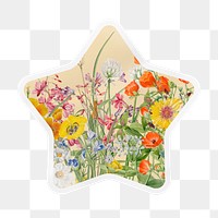 Flower field png star badge sticker on transparent background