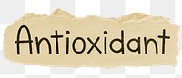 Antioxidant png word sticker typography, transparent background