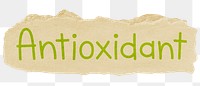 Antioxidant png word sticker typography, transparent background