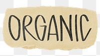 Organic png word sticker typography, transparent background