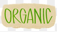 Organic png word sticker typography, transparent background