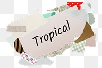 Tropical png word sticker, aesthetic paper collage typography, transparent background