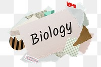 Biology png word sticker, aesthetic paper collage typography, transparent background