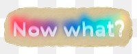 Now what? png ripped paper word sticker typography, transparent background