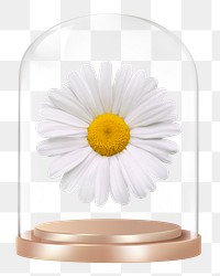 White daisy png glass dome sticker, Spring flower concept art, transparent background