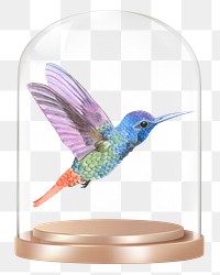 Flying hummingbird png glass dome sticker, animal concept art, transparent background