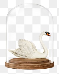 Swan png glass dome sticker, animal concept art, transparent background