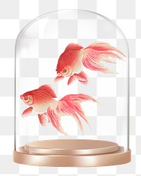 Pink goldfish png glass dome sticker, animal concept art, transparent background