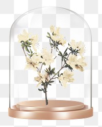 Azalea flowers png glass dome sticker, Spring concept art, transparent background