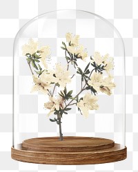 Azalea flowers png glass dome sticker, Spring concept art, transparent background