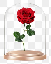 Rose flower png glass dome sticker, Valentine's concept art, transparent background
