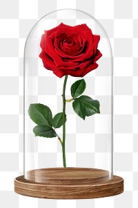Rose flower png glass dome sticker, Valentine's concept art, transparent background