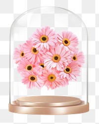 Pink daisies png glass dome sticker, Spring flower concept art, transparent background