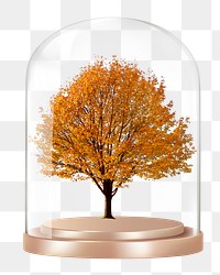 Autumn tree png glass dome sticker, seasonal aesthetic concept art, transparent background