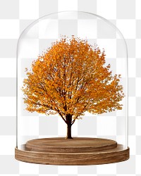 Autumn tree png glass dome sticker, seasonal aesthetic concept art, transparent background