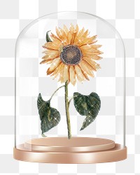 Sparkly sunflower png glass dome sticker, flower aesthetic concept art, transparent background