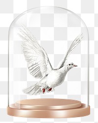 Flying dove png glass dome sticker, bird concept art, transparent background