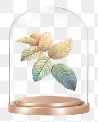 Gradient leaf branch png glass dome sticker, botanical concept art, transparent background