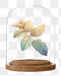 Gradient leaf branch png glass dome sticker, botanical concept art, transparent background