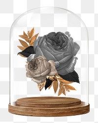 Black roses png glass dome sticker, winter flower concept art, transparent background