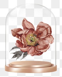 Dry flower png glass dome sticker, Autumn concept art, transparent background