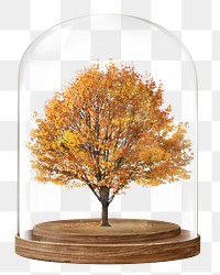 Autumn tree png glass dome sticker, seasonal aesthetic concept art, transparent background