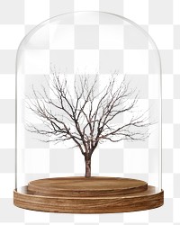 Leafless tree png glass dome sticker, Autumn concept art, transparent background