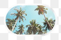 Summer png palm trees, printable rectangle oval sticker in transparent background