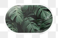 PNG green tropical leaves, printable oval rectangle sticker in transparent background