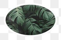 PNG green tropical leaves, printable oval sticker in transparent background