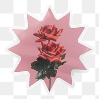 PNG rose label, aesthetic pink starburst shape with white border in transparent background