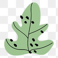 Aesthetic leaf png sticker, botanical doodle, transparent background