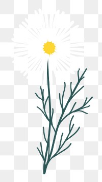 Aesthetic daisy png sticker, white flower doodle, transparent background