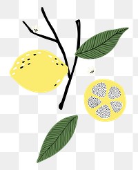 Lemon branch png sticker, fruit doodle, transparent background