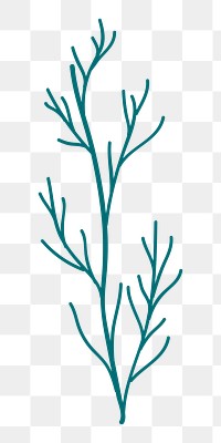 Leaf branch png sticker, aesthetic botanical doodle, transparent background