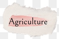 Agriculture png ripped paper word sticker typography, transparent background