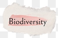 Biodiversity png ripped paper word sticker typography, transparent background