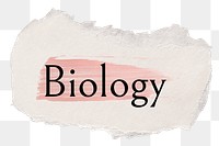 Biology png ripped paper word sticker typography, transparent background