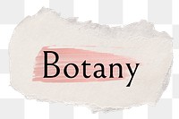 Botany png ripped paper word sticker typography, transparent background