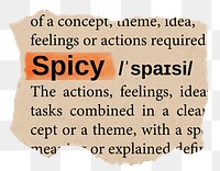 Spicy png word sticker, torn paper dictionary, transparent background