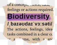 Biodiversity png word sticker, torn paper dictionary, transparent background