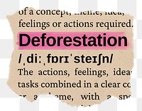 Deforestation png word sticker, torn paper dictionary, transparent background