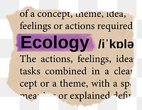 Ecology png word sticker, torn paper dictionary, transparent background