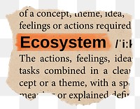 Ecosystem png word sticker, torn paper dictionary, transparent background